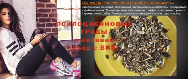 первитин Дмитров