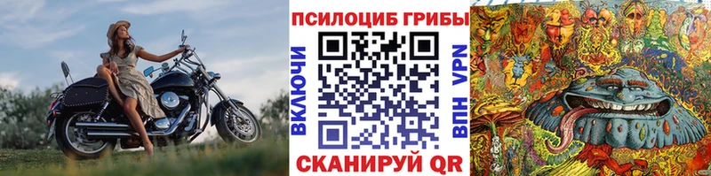 Псилоцибиновые грибы мицелий  hydra ссылки  Новая Ладога  цены  