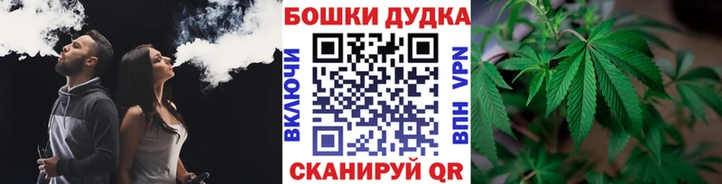 Конопля гибрид Новая Ладога